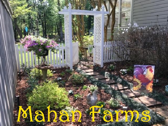 mahanfarms